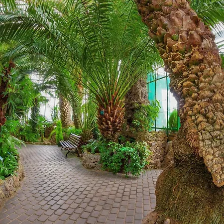 Gold - Góry Sowie - Gluszyca