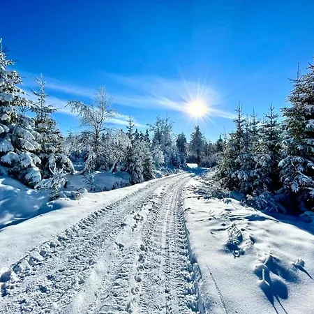 Gold - Gory Sowie - アパート グウシツァ