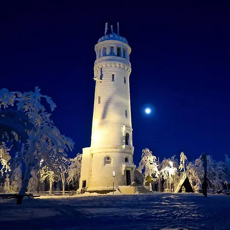 Apartment Gold - Gory Sowie - *