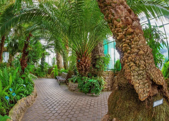 Gold - Gory Sowie - Gluszyca