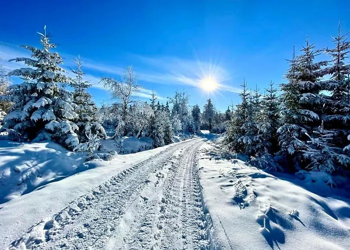 Gold - Gory Sowie - Apartment Gluszyca