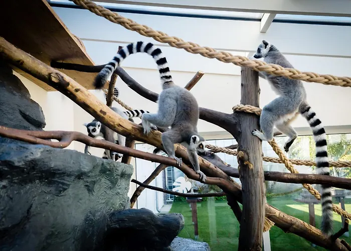 Gold - Gory Sowie - Apartment *